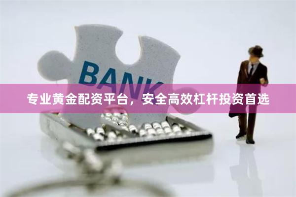 专业黄金配资平台，安全高效杠杆投资首选