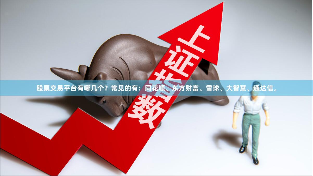 股票交易平台有哪几个？常见的有：同花顺、东方财富、雪球、大智慧、通达信。